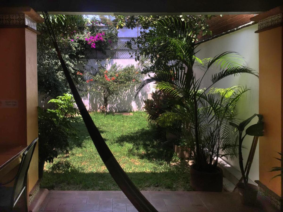 Los Nardos Hostel -Pet Friendly- Oaxaca Ngoại thất bức ảnh
