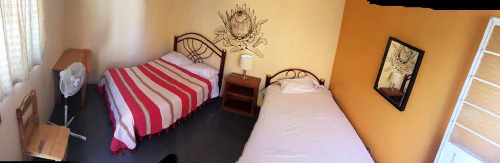 Los Nardos Hostel -Pet Friendly- Oaxaca Ngoại thất bức ảnh