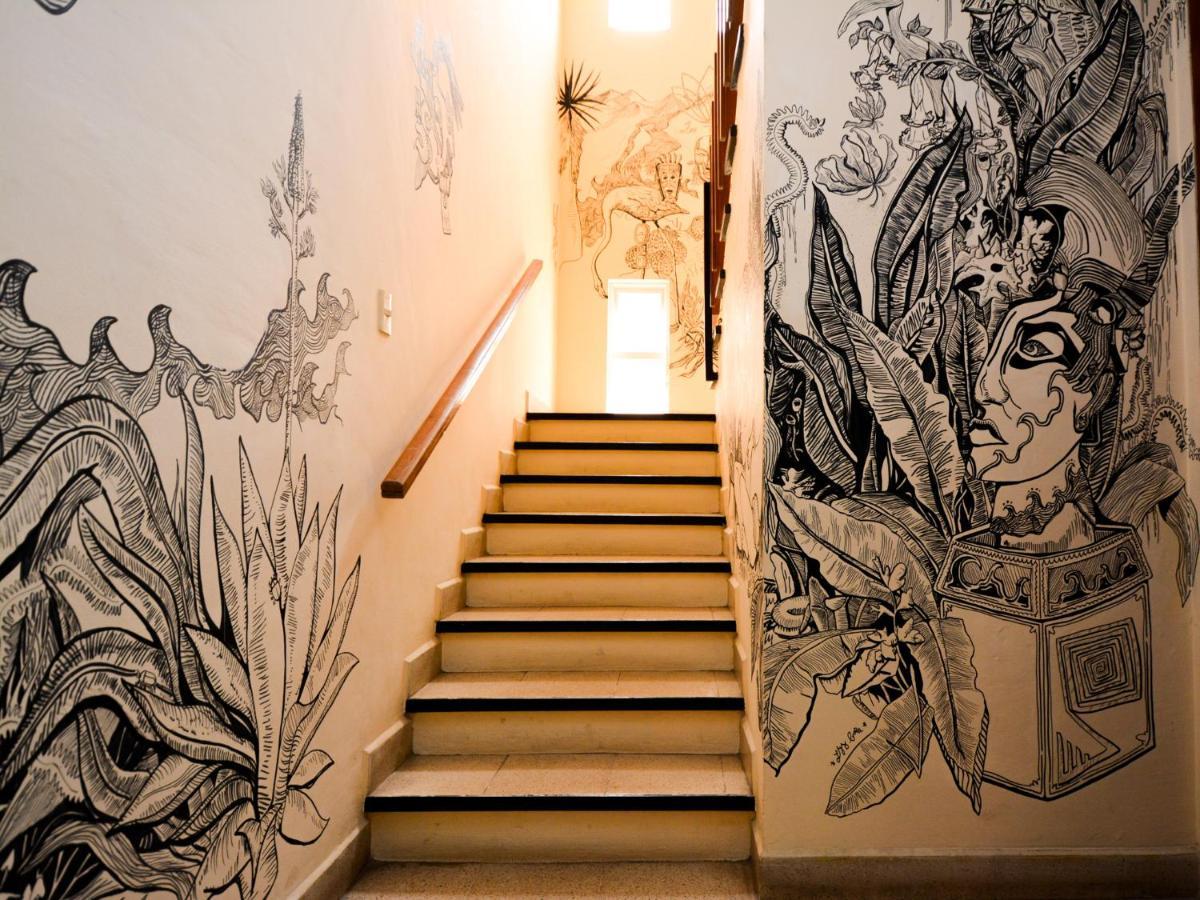 Los Nardos Hostel -Pet Friendly- Oaxaca Ngoại thất bức ảnh