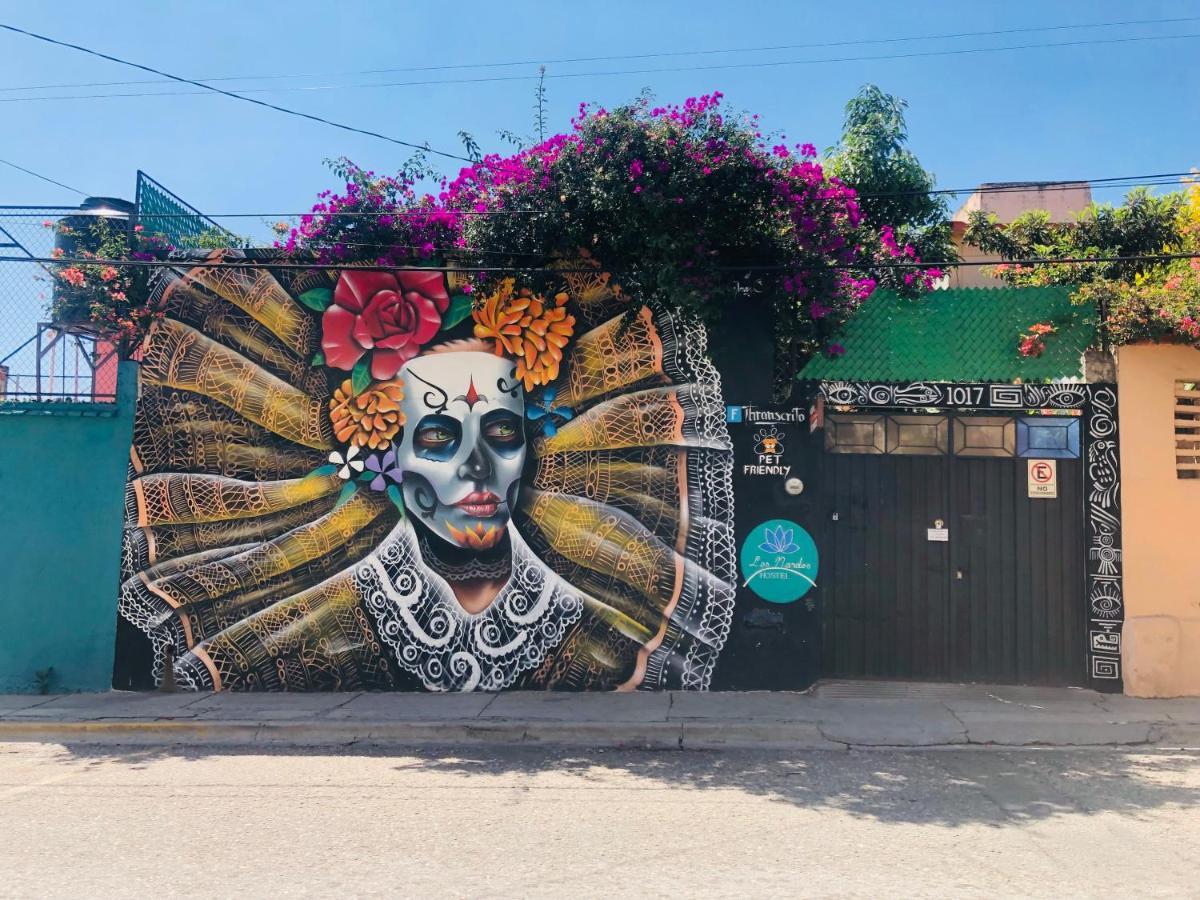 Los Nardos Hostel -Pet Friendly- Oaxaca Ngoại thất bức ảnh