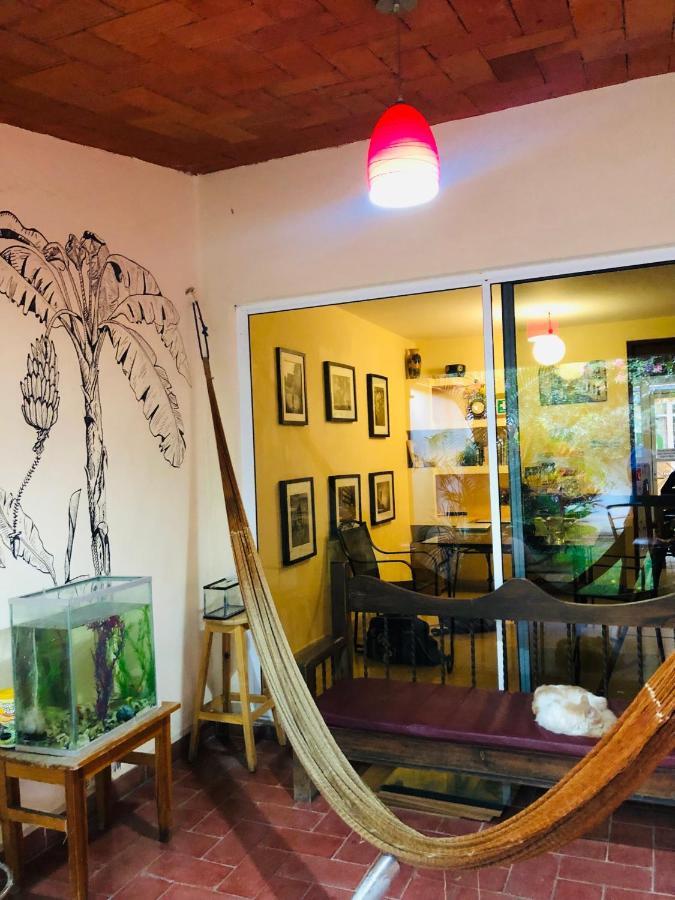 Los Nardos Hostel -Pet Friendly- Oaxaca Ngoại thất bức ảnh