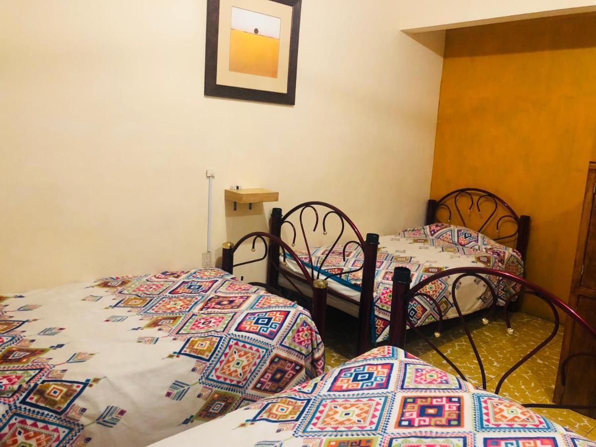 Los Nardos Hostel -Pet Friendly- Oaxaca Ngoại thất bức ảnh