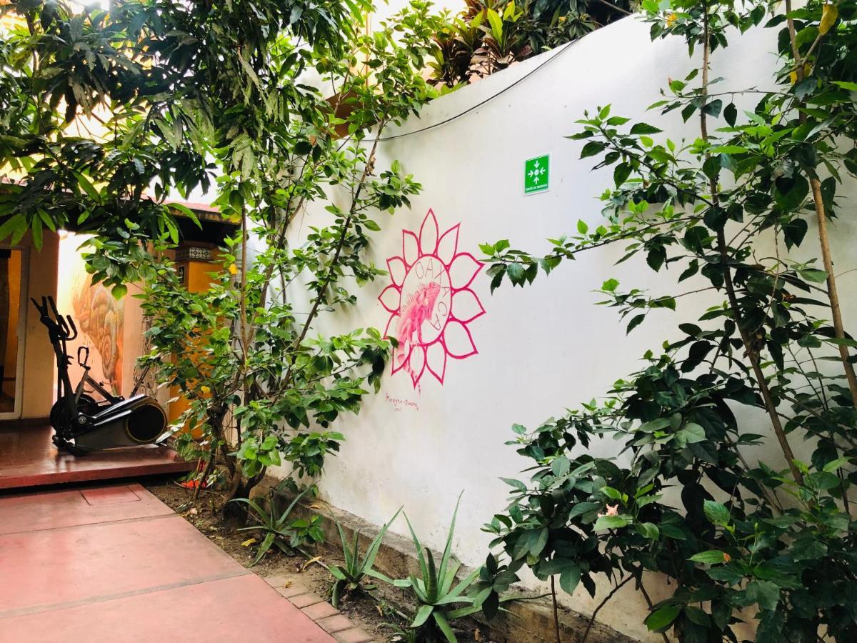 Los Nardos Hostel -Pet Friendly- Oaxaca Ngoại thất bức ảnh