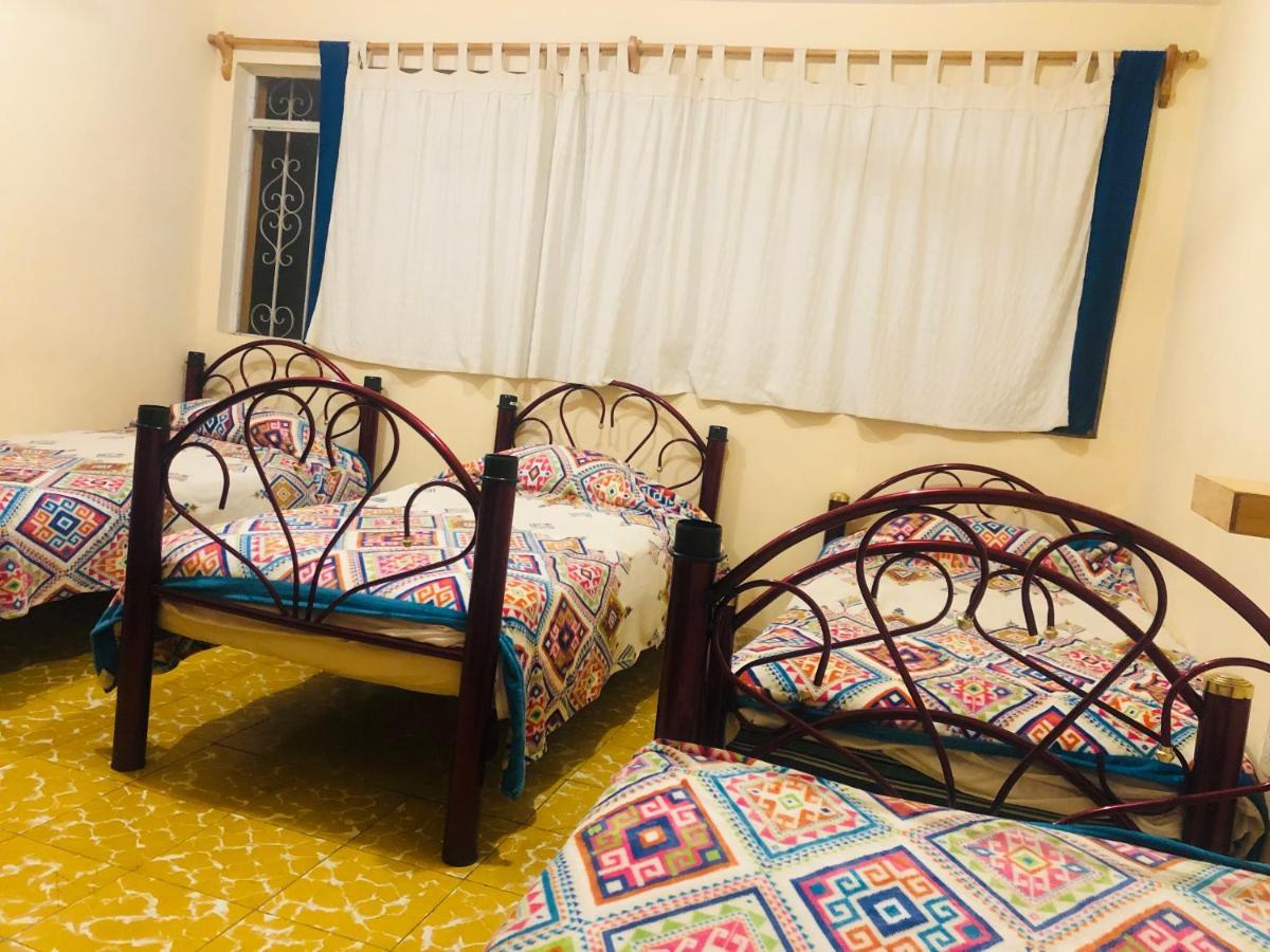 Los Nardos Hostel -Pet Friendly- Oaxaca Ngoại thất bức ảnh