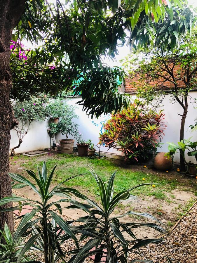 Los Nardos Hostel -Pet Friendly- Oaxaca Ngoại thất bức ảnh