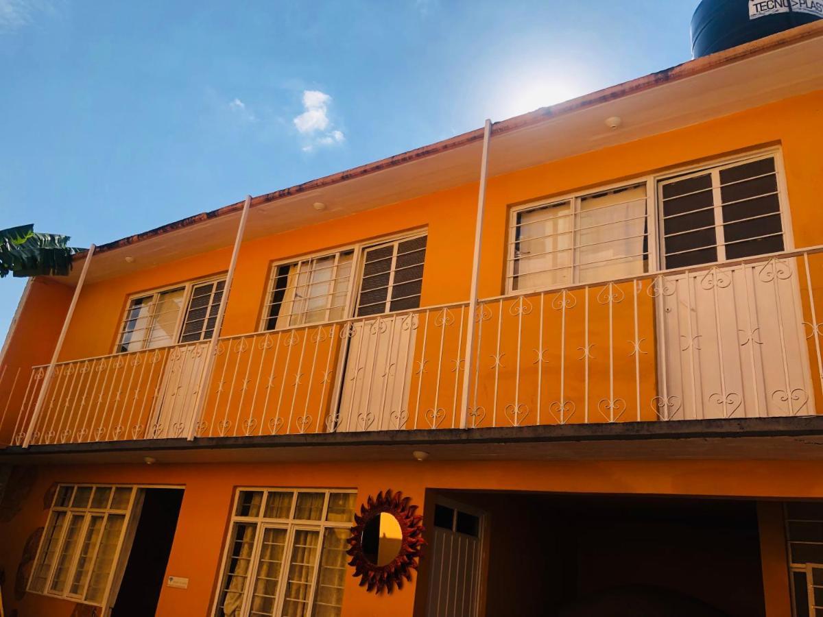 Los Nardos Hostel -Pet Friendly- Oaxaca Ngoại thất bức ảnh