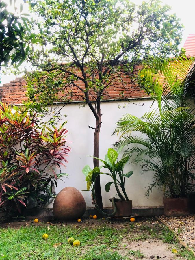 Los Nardos Hostel -Pet Friendly- Oaxaca Ngoại thất bức ảnh