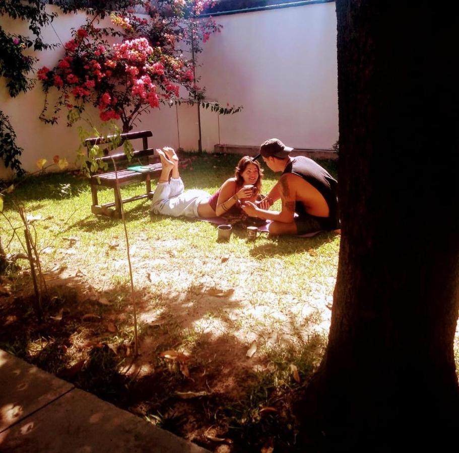 Los Nardos Hostel -Pet Friendly- Oaxaca Ngoại thất bức ảnh
