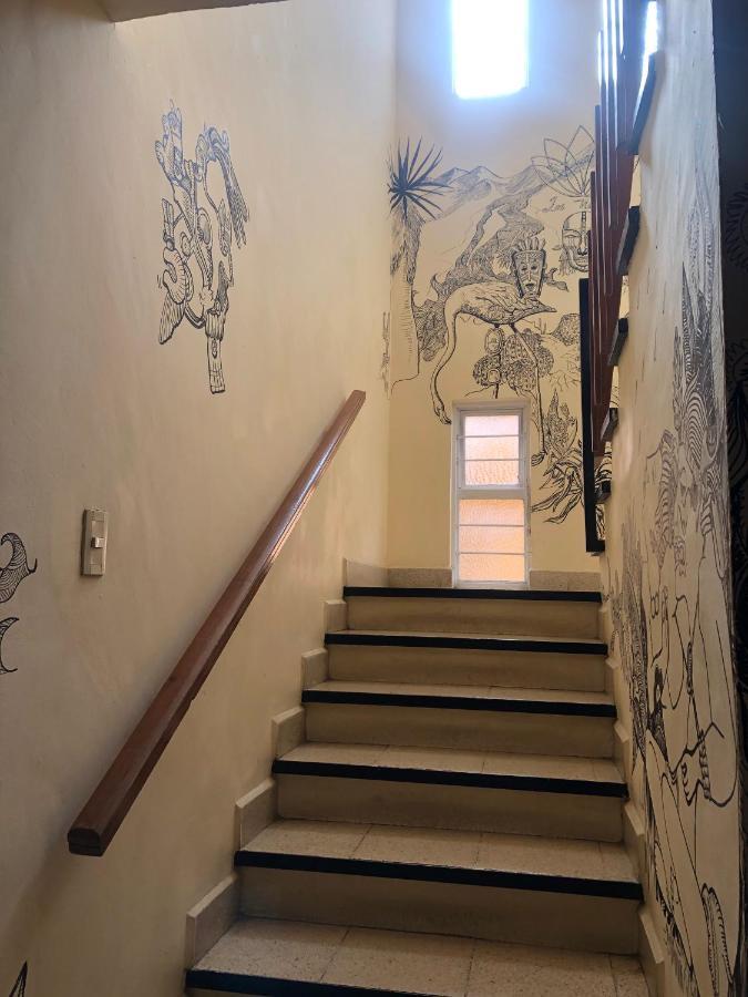 Los Nardos Hostel -Pet Friendly- Oaxaca Ngoại thất bức ảnh