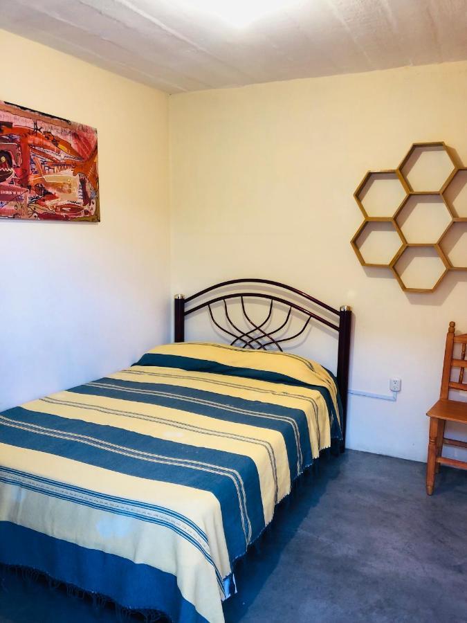 Los Nardos Hostel -Pet Friendly- Oaxaca Ngoại thất bức ảnh