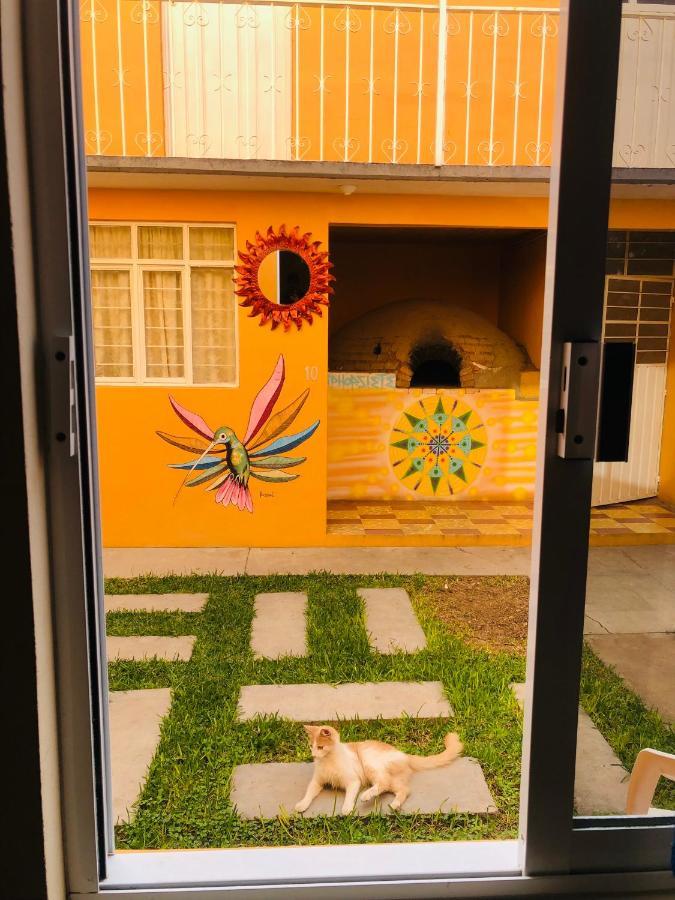 Los Nardos Hostel -Pet Friendly- Oaxaca Ngoại thất bức ảnh